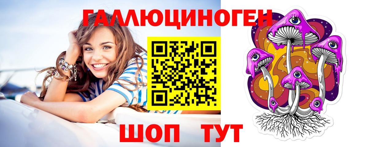 Псилоцибиновые грибы Psilocybine cubensis Кулебаки
