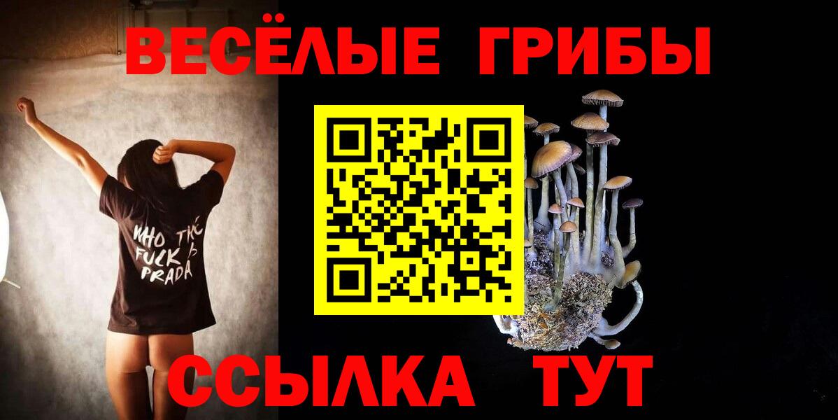 Кулебаки  Галлюциногенные грибы Magic Shrooms  Галлюциногенные грибы Magic Shrooms  Вход с VPN 